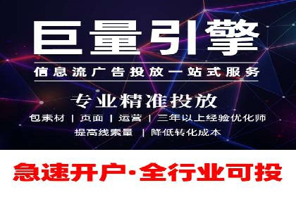 百度竞价广告投放全解析：成功案例揭秘